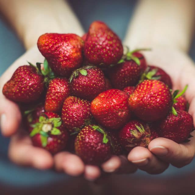 fraises-berry